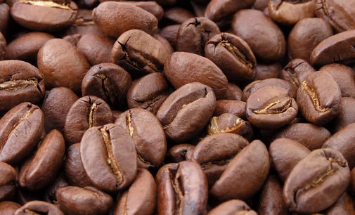 New Green Coffee Carbon Footprint Product Category Rule (CFP-PCR) Launched