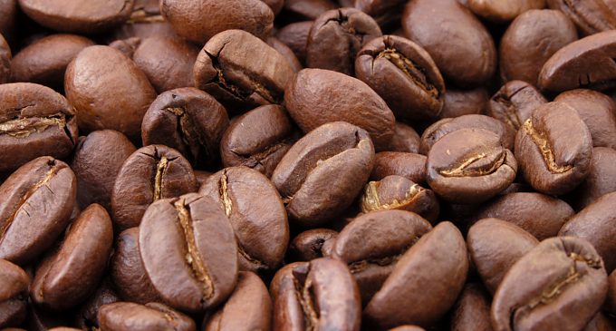 New Green Coffee Carbon Footprint Product Category Rule (CFP-PCR) Launched