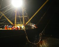 Green Light For New Sustainable EU Fisheries Policy From 2014