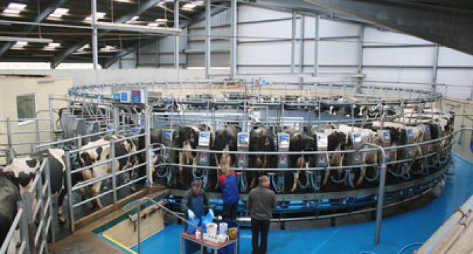 Meadow Foods to Increase Milk Price