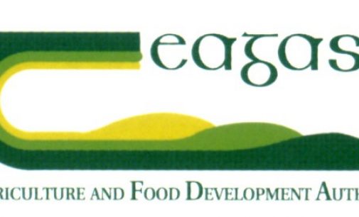 Teagasc Launches New Walsh Fellowships Model