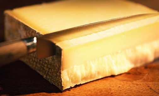 Emmi Acquires Stake in Mexican Cheese Business