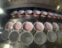 Emmi Expands in US Yogurt Sector