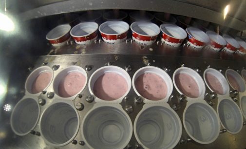 Emmi Expands in US Yogurt Sector