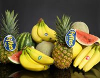 Chiquita and Fyffes to Merge