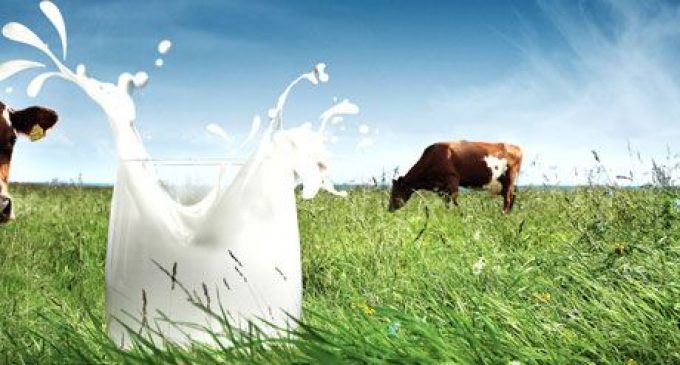 Milk Provides More Nutrition For Less Emissions