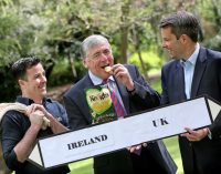 Irish Crisp Maker Cracks UK With Tesco Deal