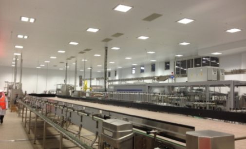 Maceo Design & Management Provides Excellent Service in Project Delivery