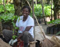 Mondelez International Joins Chocolate Industry’s ‘CocoaAction’ Through World Cocoa Foundation