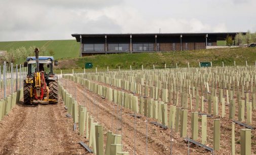 UK’s Largest Winery Opens