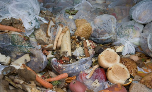 New Insights Help Industry Target Household Food Waste Reduction