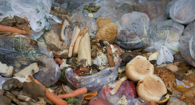 New Insights Help Industry Target Household Food Waste Reduction