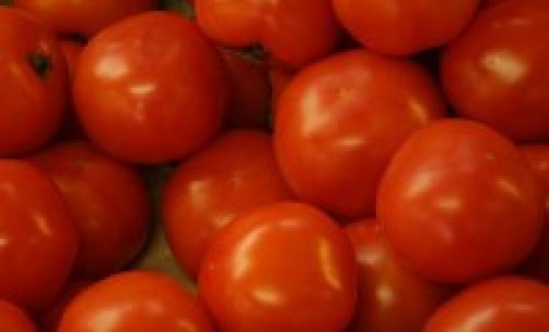 Ford and Heinz working together to develop waste tomato-based plastics