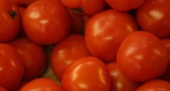 Ford and Heinz working together to develop waste tomato-based plastics