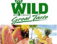 A new range of flavors: WILD providing the taste of summer