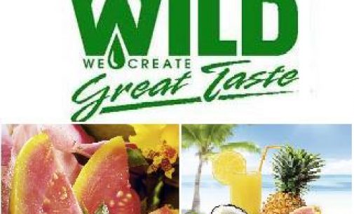 A new range of flavors: WILD providing the taste of summer
