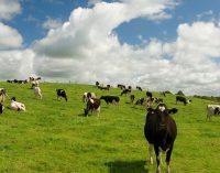Impact of Teagasc Research Highlighted