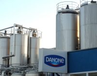 Danone Rebuilding Margins