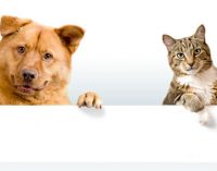 Nestlé Deepens Business Commitments in Mexico