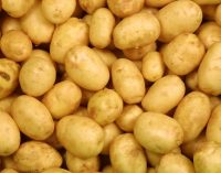 Produce World Group Expands Through Acquisition