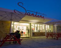 Allma’s Chlorella makes its debut – in bubble tea and sorbet