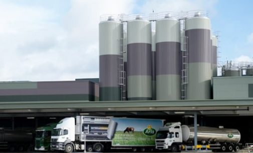 Strong First Half By Arla Foods But Milk Prices Set to Fall