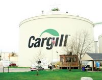 Cargill Falls Short of Expectations