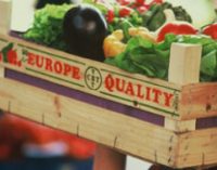 European Commission Announces Exceptional Support Measures For EU Fresh Fruit & Veg Producers