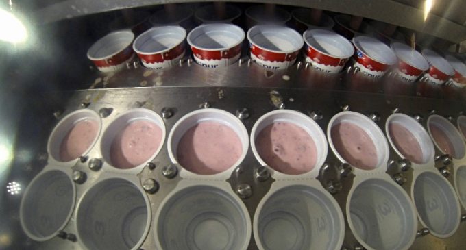 Challenging Italian Yogurt Market Impacts Emmi’s First Half Profits