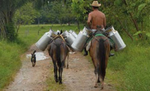 Nestlé to Increase Milk Output in Mexico