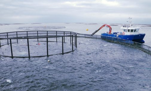 EU Research Helps Fish Farmers Become More Competitive