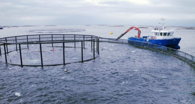 EU Research Helps Fish Farmers Become More Competitive