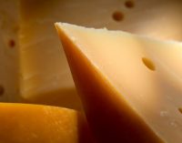 FrieslandCampina Reinforces Position in Italian Cheese and Butter Market