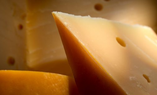 FrieslandCampina Reinforces Position in Italian Cheese and Butter Market