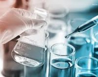 Venn Life Sciences to acquire Kinesis Pharma for €6.5m