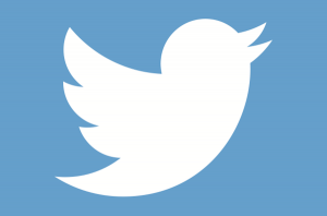 alltwitter-twitter-bird-logo-white-on-blue_9