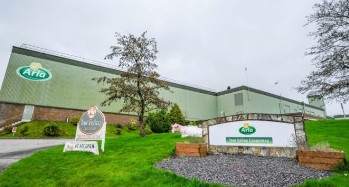 Arla Foods to invest €210 million in English dairy