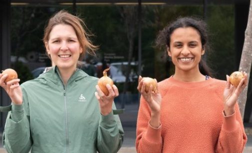 Scottish start-up aims to peel back plastic use with onion skin packaging