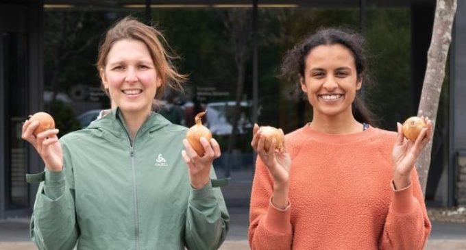 Scottish start-up aims to peel back plastic use with onion skin packaging