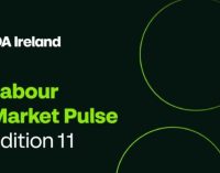 IDA Labour Market Pulse reveals demand for Green Skills in Ireland growing rapidly